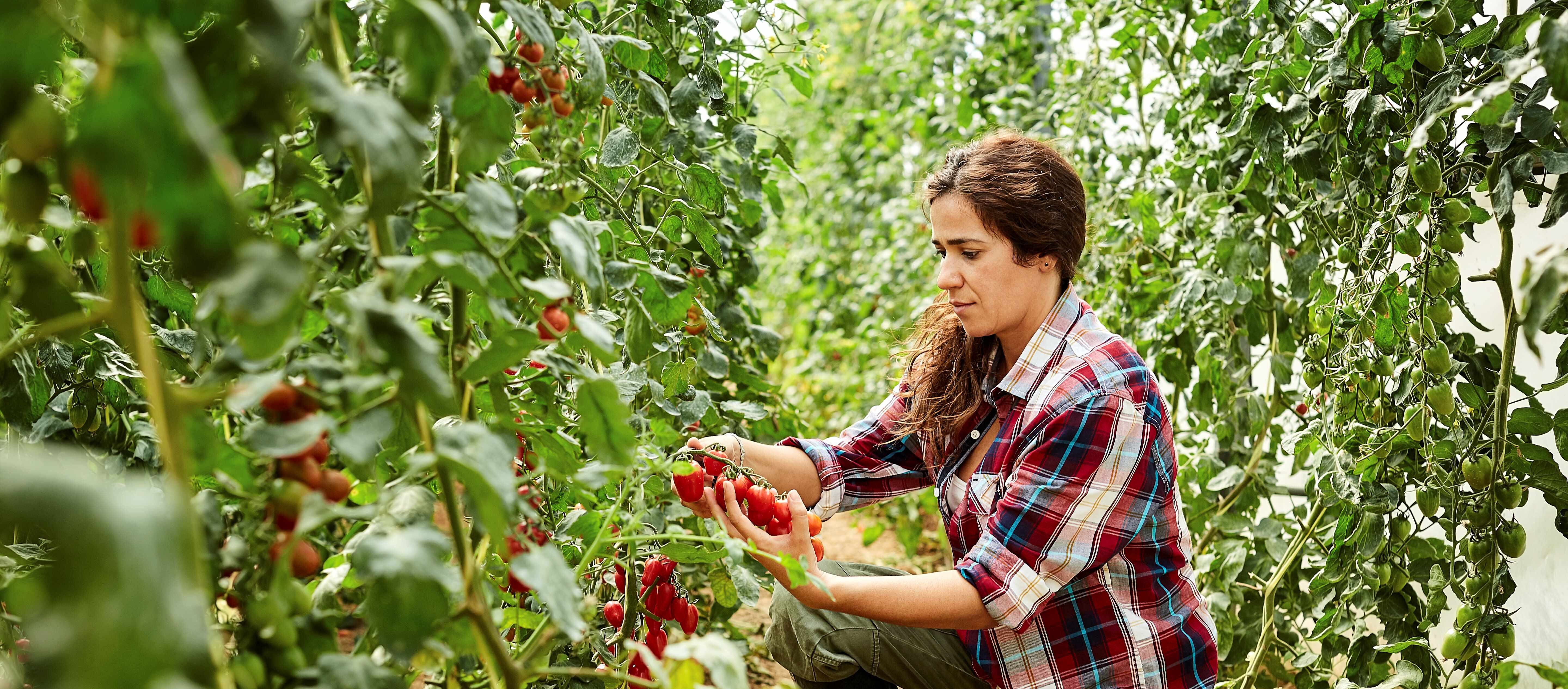 Woman working in agriculture in Spain